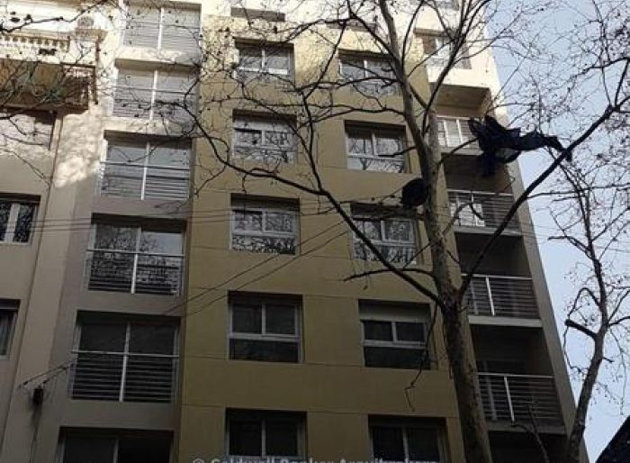 imagen  de la propiedad 84551