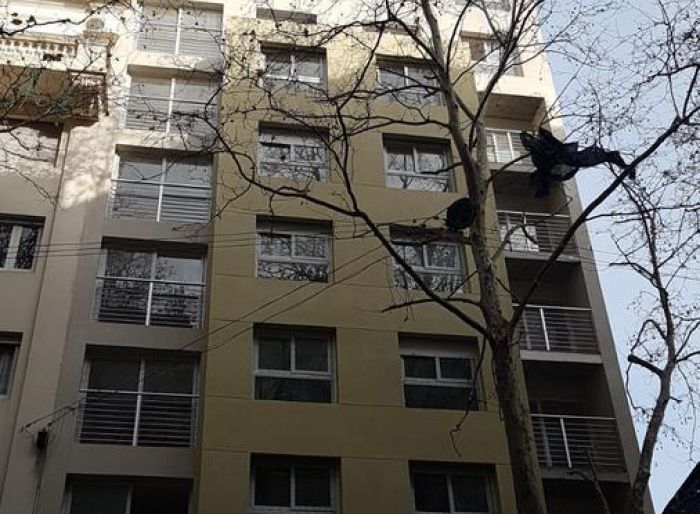 imagen  de la propiedad 84551