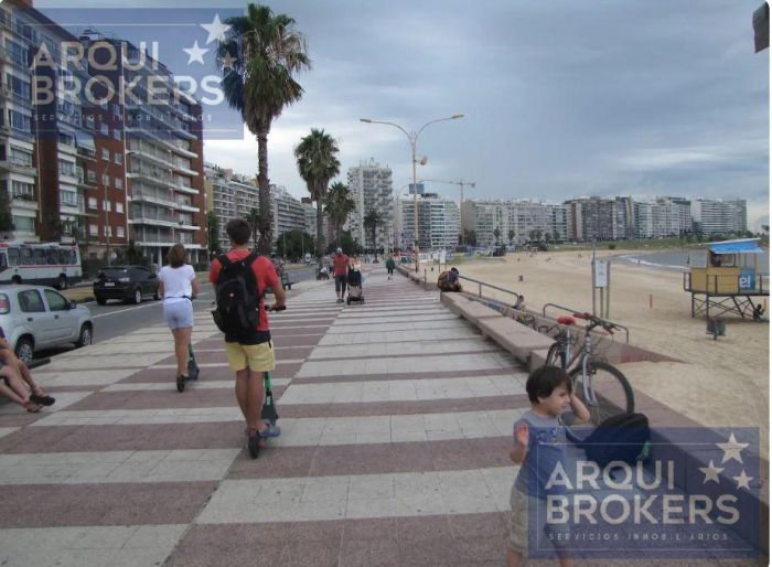 imagen  de la propiedad 85155
