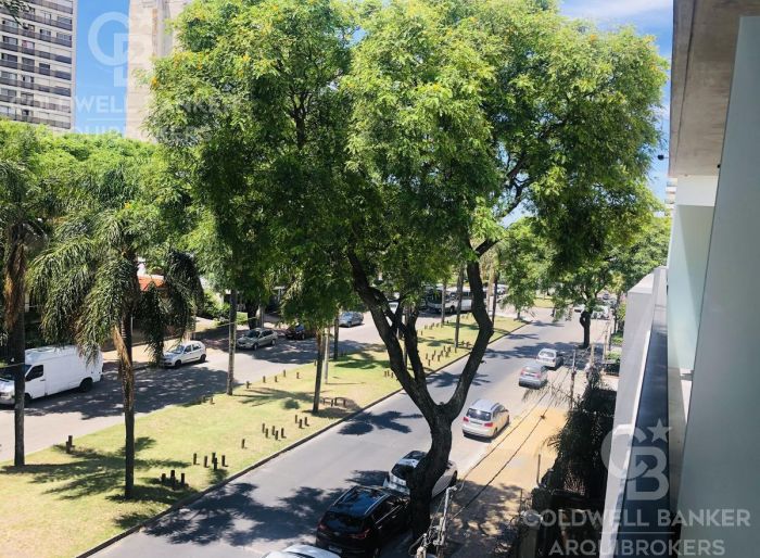 imagen  de la propiedad 85320