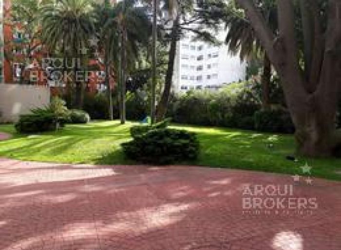 imagen  de la propiedad 87497