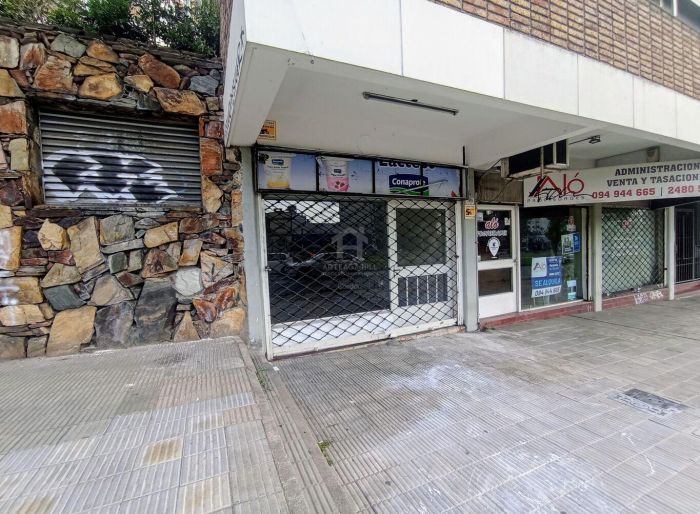 imagen  de la propiedad 132997
