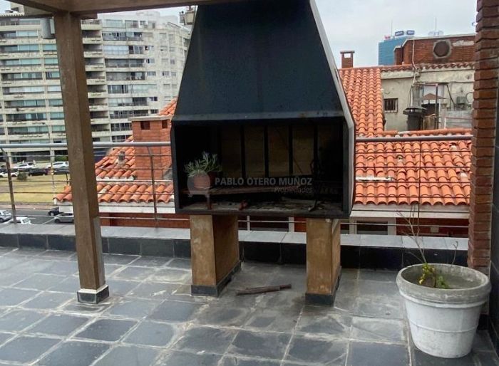 imagen  de la propiedad 95004