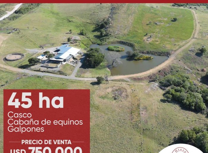 imagen  de la propiedad 95009
