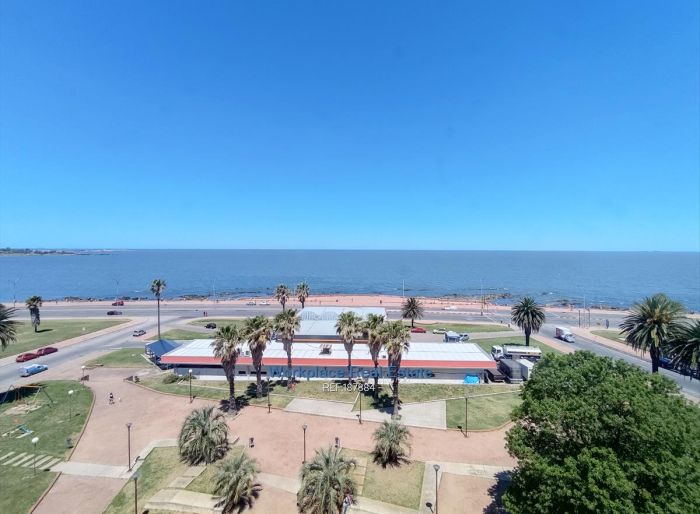 imagen  de la propiedad 160773