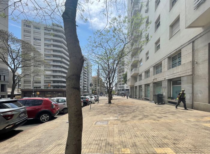 imagen  de la propiedad 160999