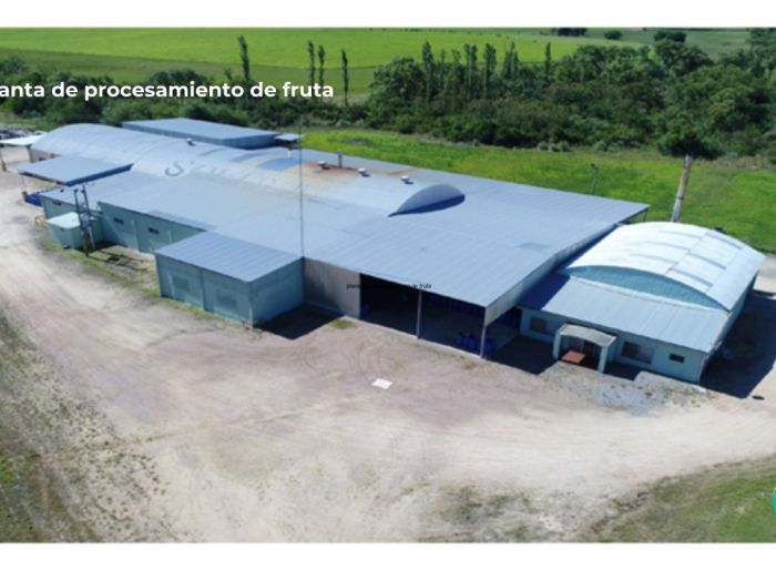 imagen  de la propiedad 148025