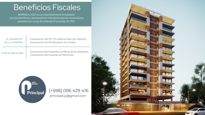 imagen  de la propiedad 97325