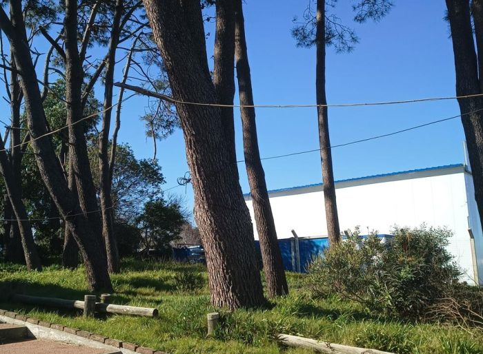 imagen  de la propiedad 121785