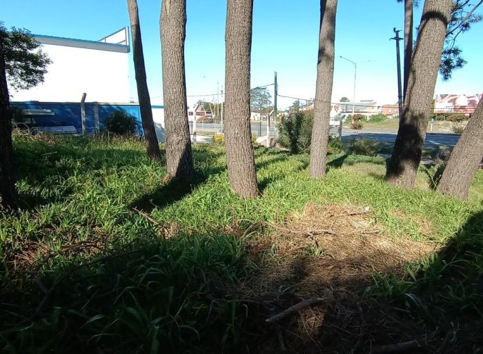 imagen  de la propiedad 121785