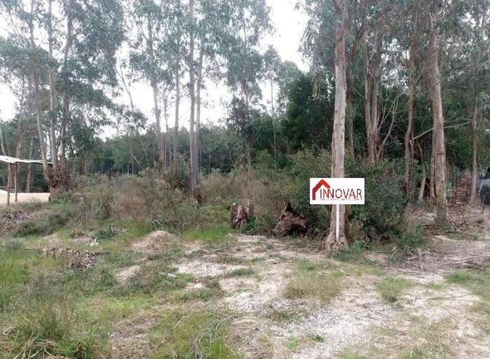 imagen  de la propiedad 121800