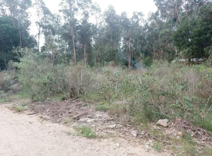 imagen  de la propiedad 121800