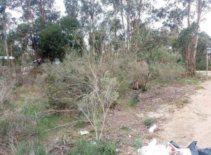 imagen  de la propiedad 121800