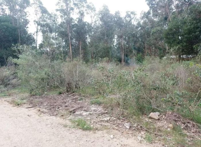 imagen  de la propiedad 121800