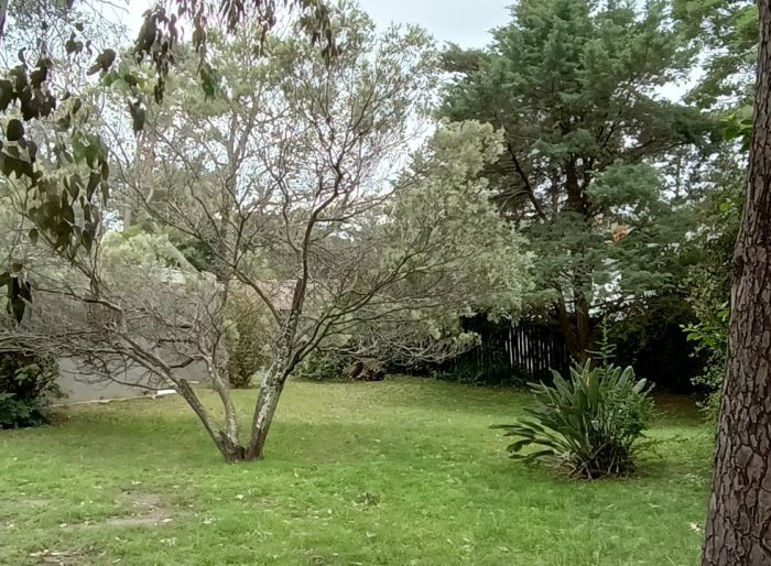 imagen  de la propiedad 121831