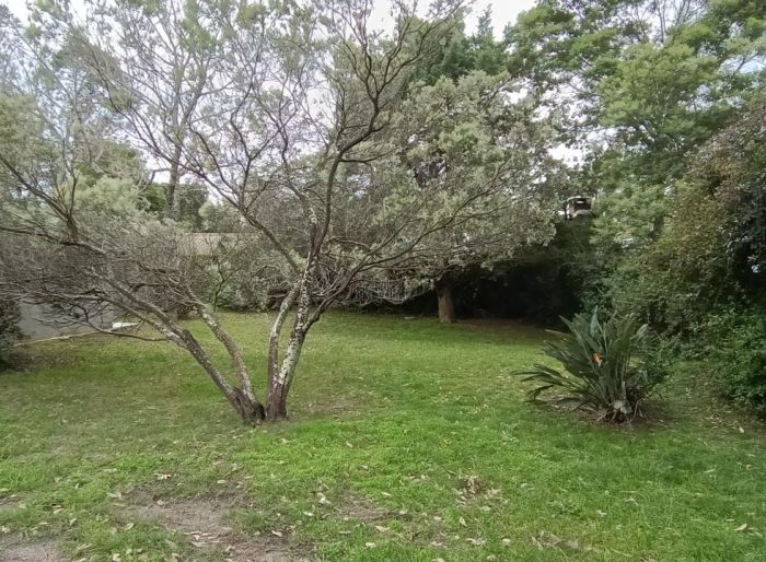 imagen  de la propiedad 121831