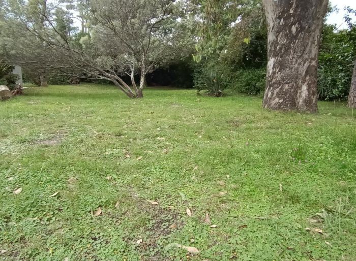 imagen  de la propiedad 121831