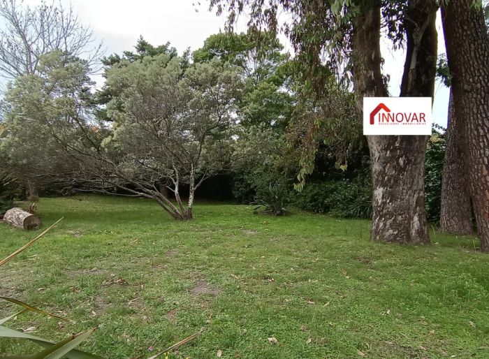 imagen  de la propiedad 121831