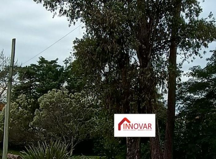 imagen  de la propiedad 121831