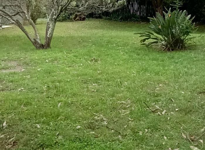 imagen  de la propiedad 121831