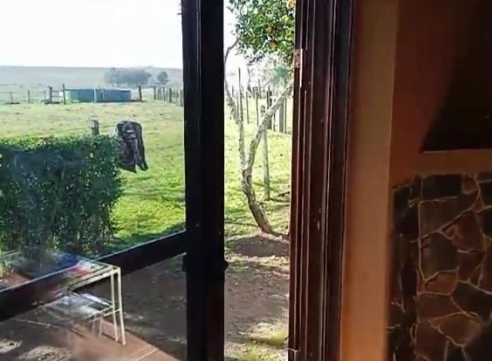 imagen  de la propiedad 123835