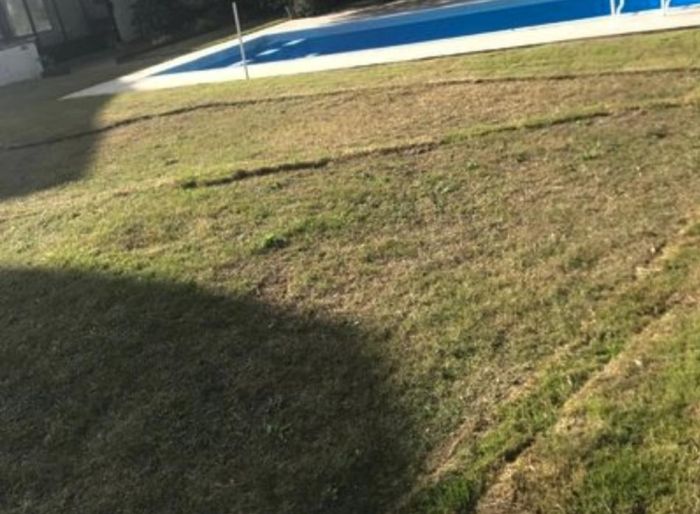 imagen  de la propiedad 124343