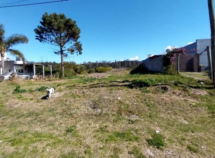 imagen  de la propiedad 165195