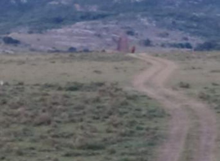 imagen  de la propiedad 100264