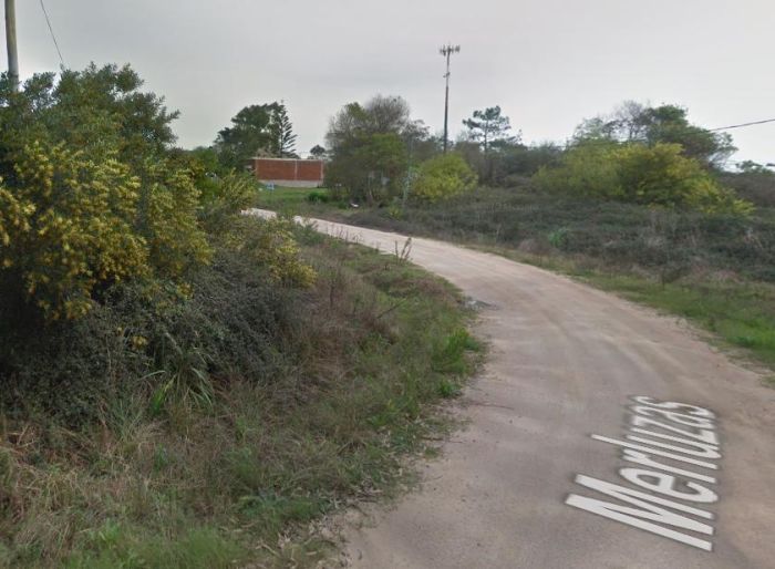 imagen  de la propiedad 100442
