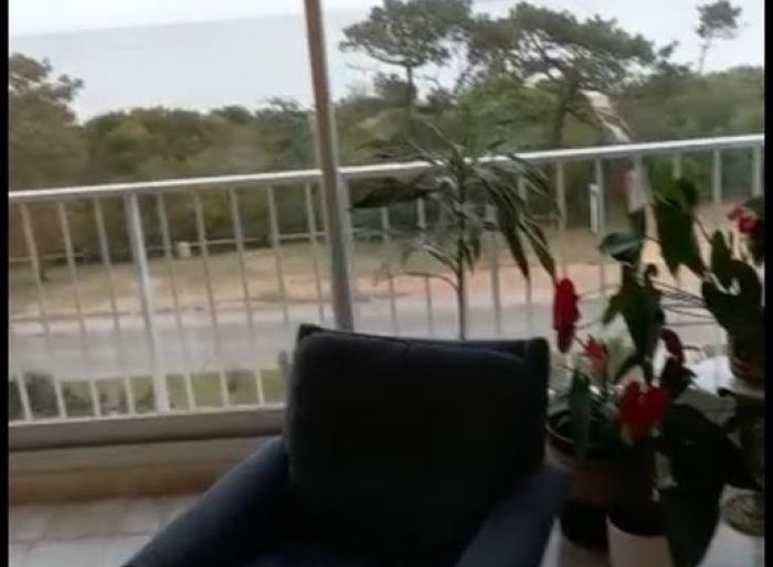 imagen  de la propiedad 100456