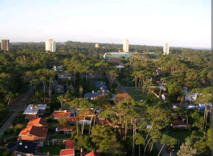 imagen  de la propiedad 110581