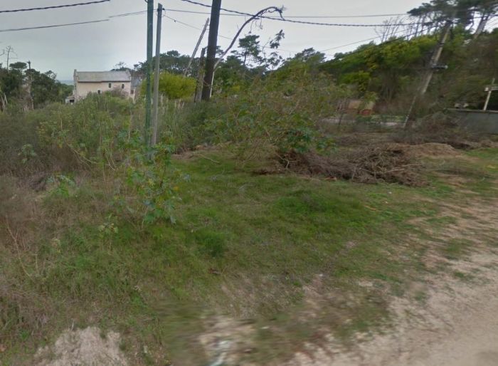 imagen  de la propiedad 150463