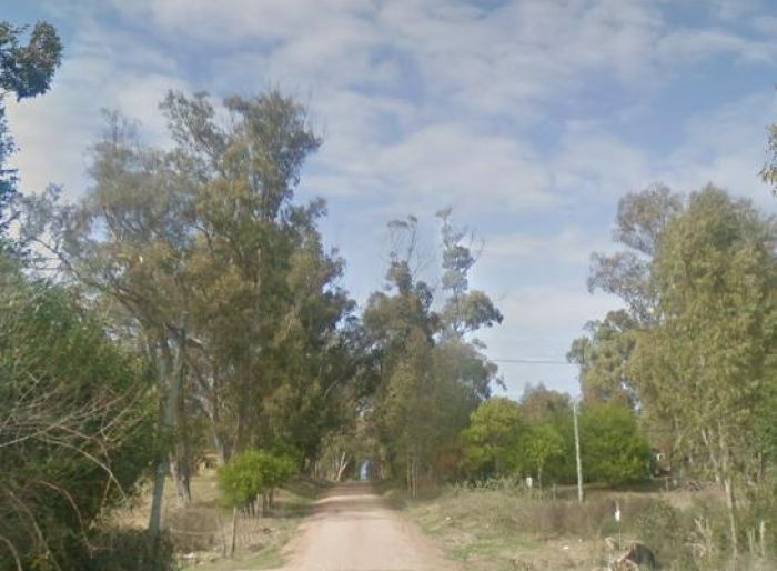 imagen  de la propiedad 154505