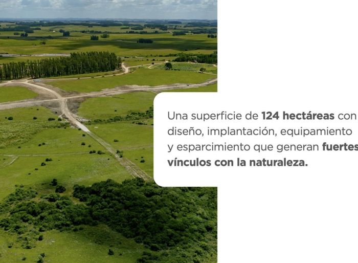 imagen  de la propiedad 163446