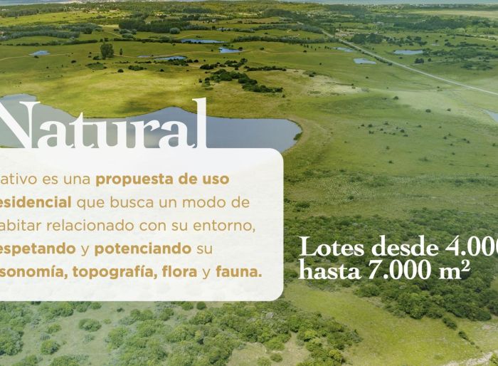 imagen  de la propiedad 163446