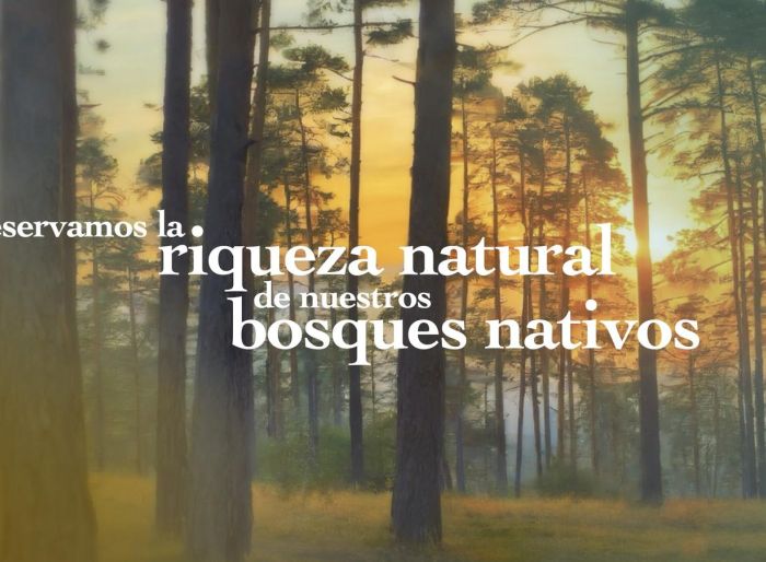imagen  de la propiedad 163446
