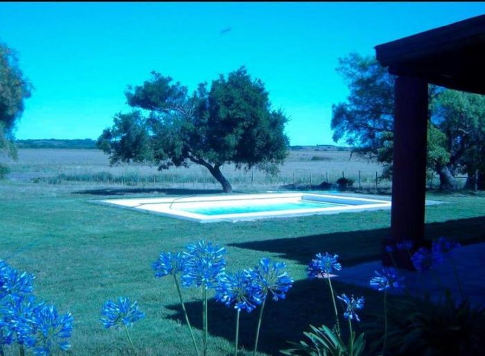 imagen  de la propiedad 99586