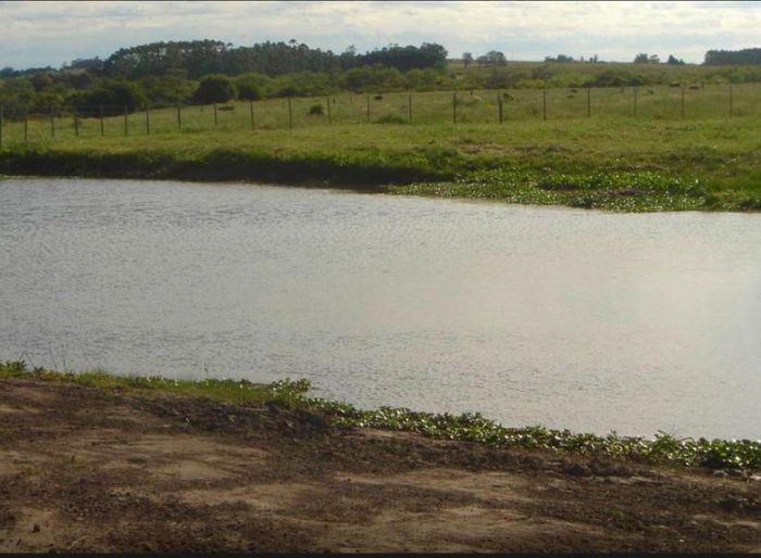 imagen  de la propiedad 99586