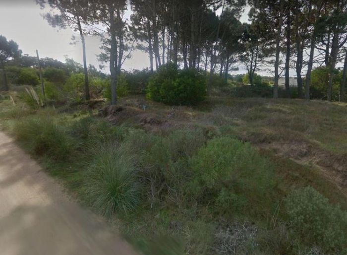 imagen  de la propiedad 99681