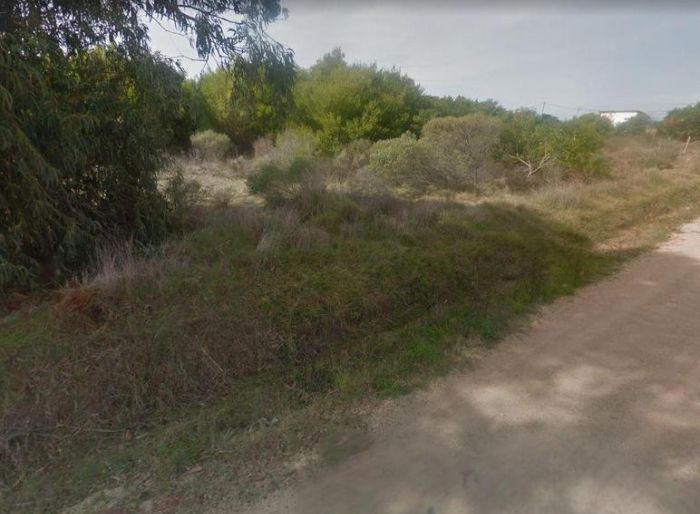 imagen  de la propiedad 99688