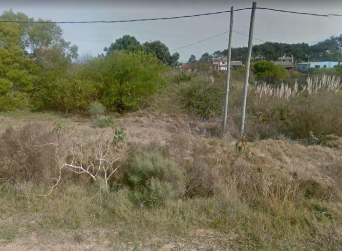 imagen  de la propiedad 99692
