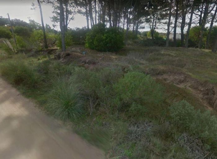 imagen  de la propiedad 99701