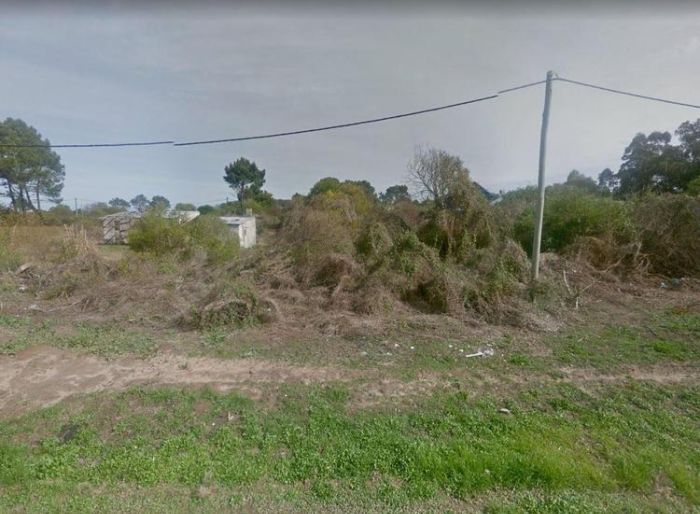 imagen  de la propiedad 99704