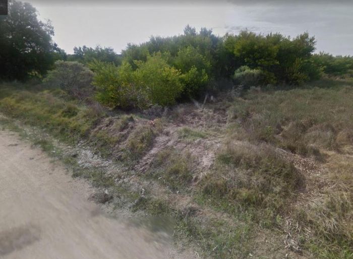 imagen  de la propiedad 99719