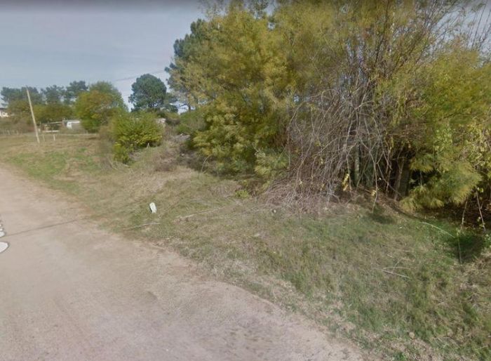 imagen  de la propiedad 99741