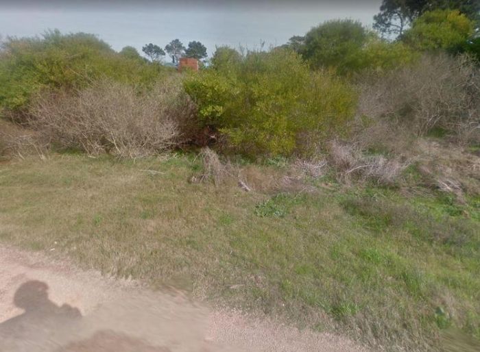 imagen  de la propiedad 99743