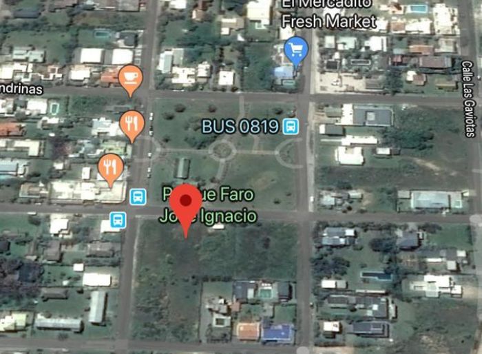 imagen  de la propiedad 99807