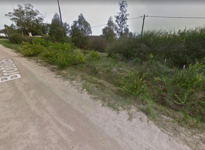 imagen  de la propiedad 99961