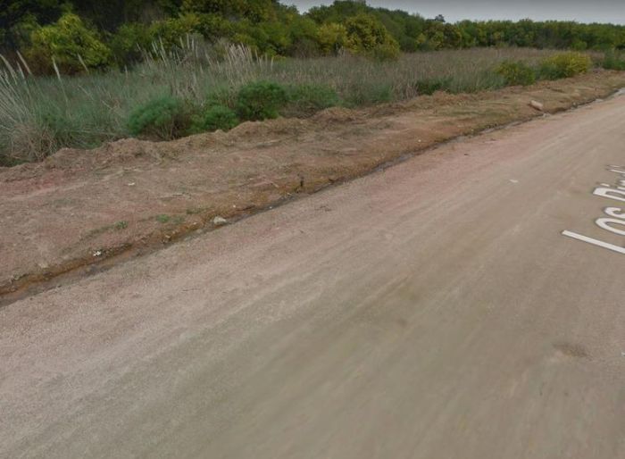 imagen  de la propiedad 99962