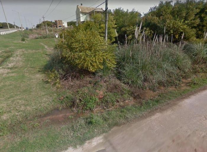imagen  de la propiedad 99964